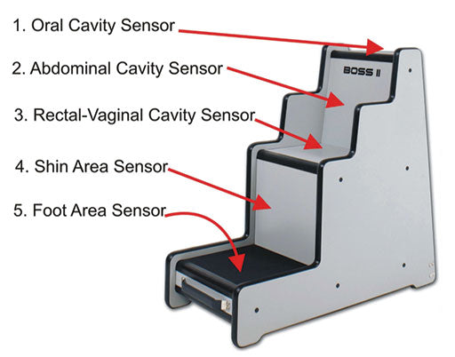 B.O.S.S. II 5s ™ Body Orifice Security Scanner - UproMax